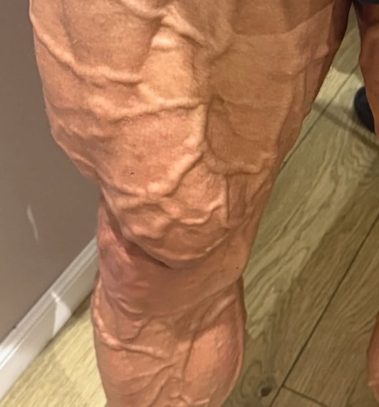 Уильям Ниевиара получил профессиональную карту IFBB на турнире NPC Worldwide "Festival Champions Classic" 2026 года